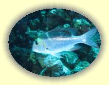 IMG_2007_05_29 15_34_20 * 3072 x 2304 * (711KB)